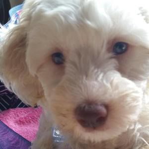 Meet your Posher, Jill